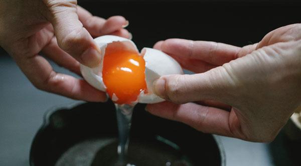 extract egg yolk